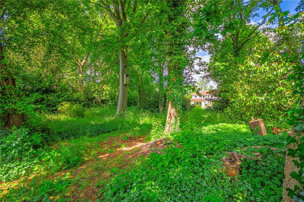 Property Image 36